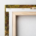 Obraz na płótnie 60x60 - Śpiew Strumienia - strumień, górski