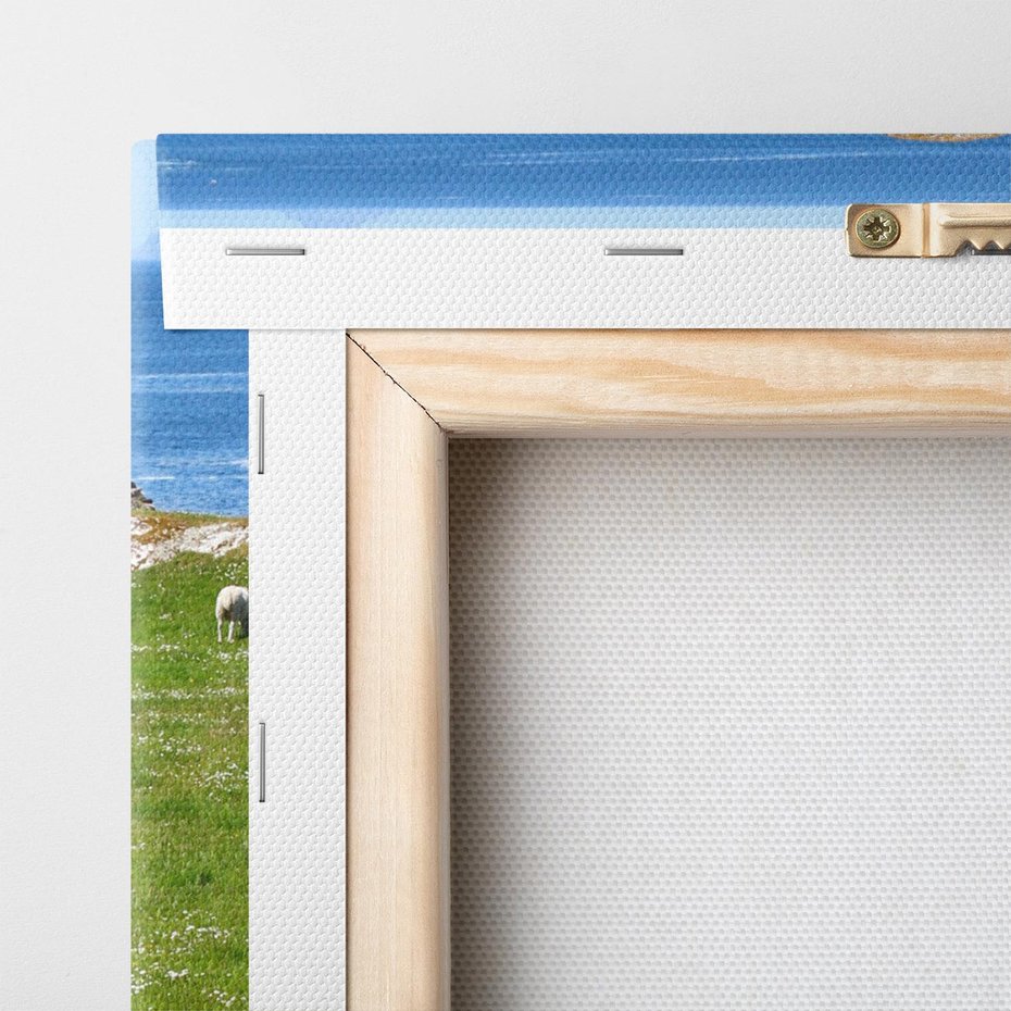 Obraz na płótnie 50x70 - Górskie Owce - góry, owce