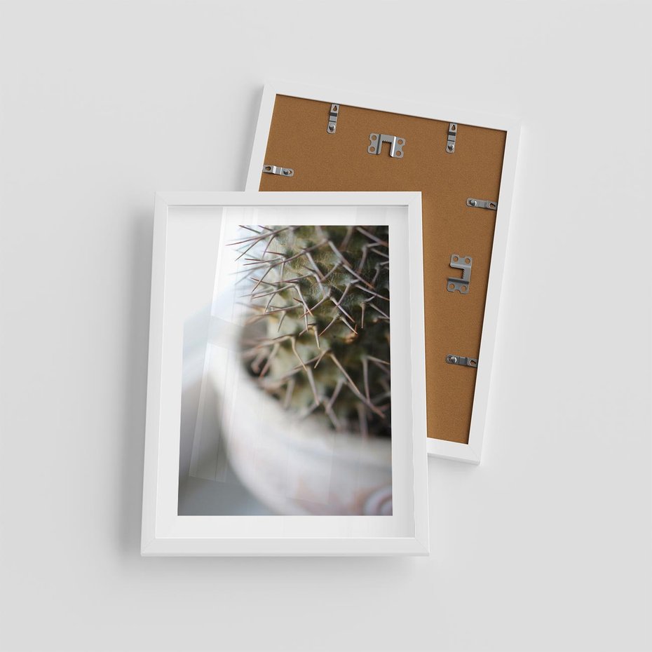 Plakat w ramie 30x40 - Kaktus w Zbliżeniu - kaktus, igły - rama biała