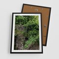 Plakat w ramie 50x70 - Żywiołowa Zieleń - mur, liście - rama czarna
