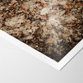 Plakat bez ramy 30x40 - Suchość Liści w Brązowych Tonach - suche liście jesień brąz