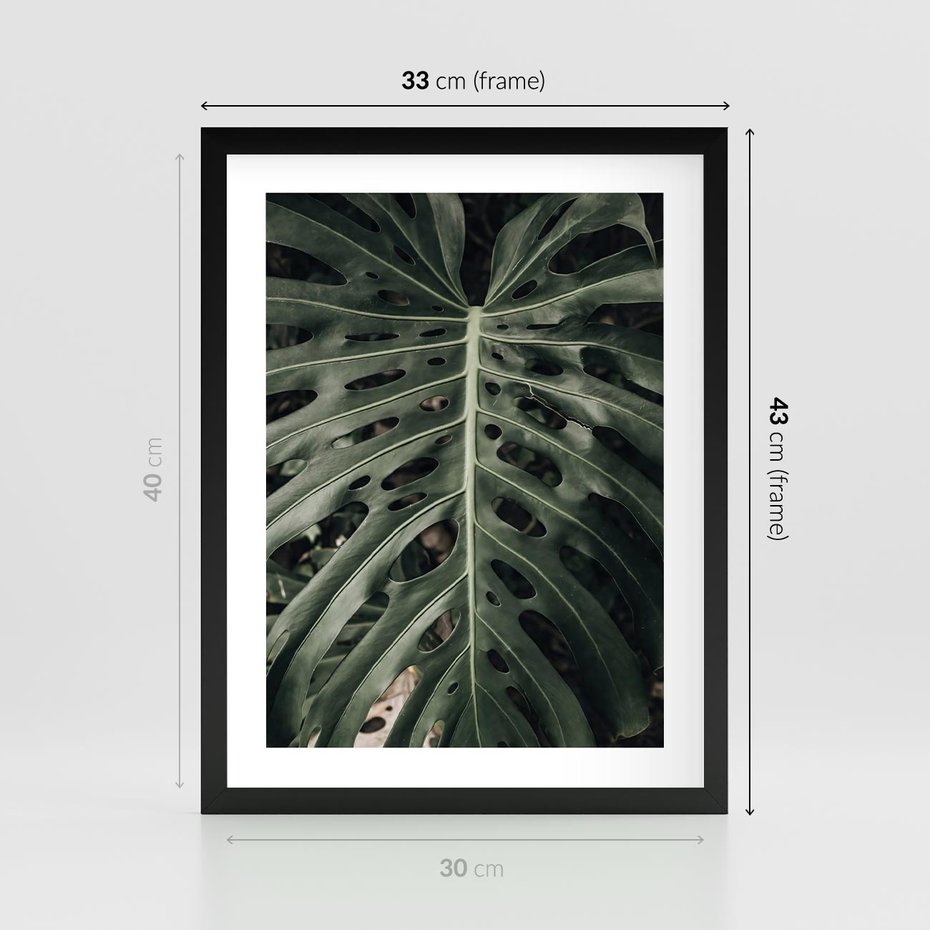 Plakat w ramie 30x40 - Majestatyczny Liść Monstery - liść monstery, majestatyczny liść - rama czarna
