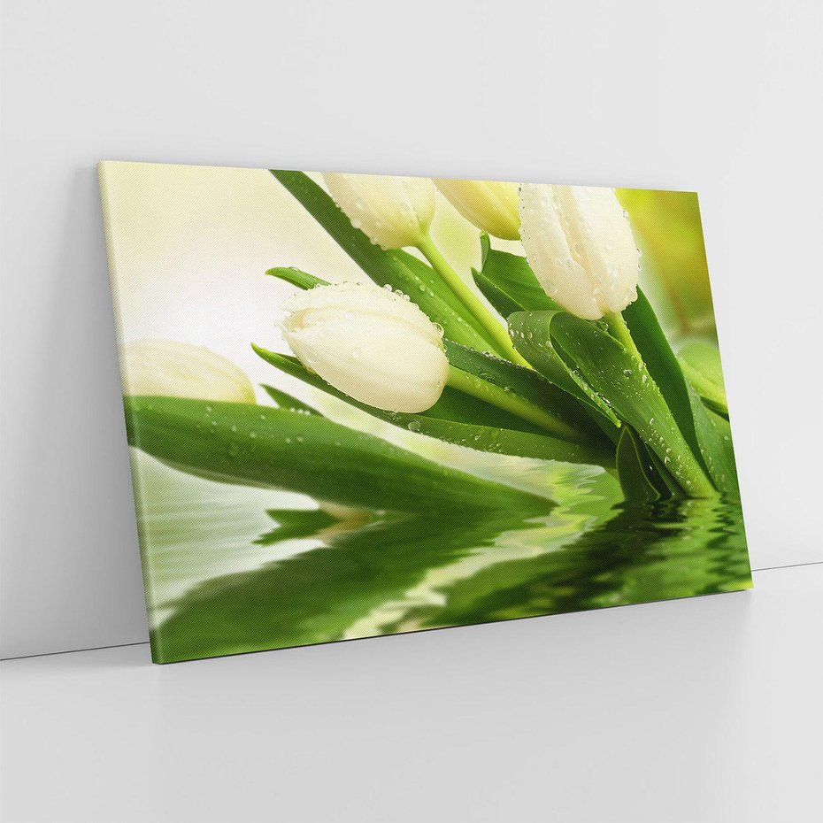 Obraz na płótnie 70x50 - Białe Piękno - białe, tulipany