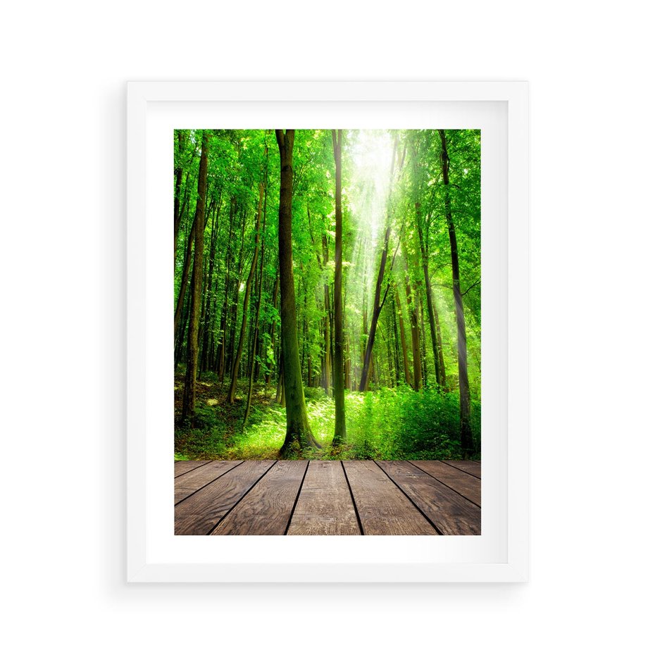 Plakat w ramie 40x50 - Spacer po urokliwej dróżce w lesie - las, dróżka - rama biała