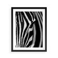 Plakat w ramie 40x50 - Pasy Zebr - zebra, paski - rama czarna
