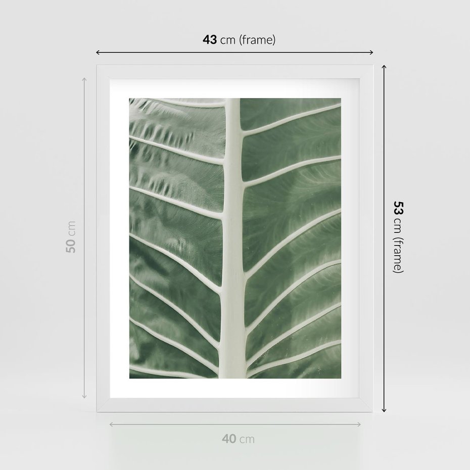 Plakat w ramie 40x50 - Zielone Wielkości: Zbliżenie Liścia - zbliżenie duz liść, jasna zieleń - rama biała