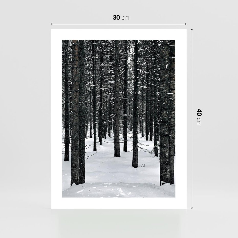 Plakat bez ramy 30x40 - Zimowe Drzewa: Śnieg na Pniach - drzew w zimi, pnie drzew