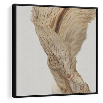 Obraz w ramie 50x50 - Suszone piękno - susz, suche - rama czarna