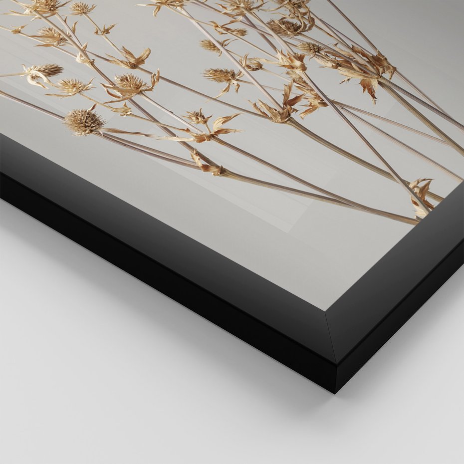 Zestaw obrazy w ramie 40x50 galeria - Suche, kwiaty, pampas, trawy, boho - rama czarna