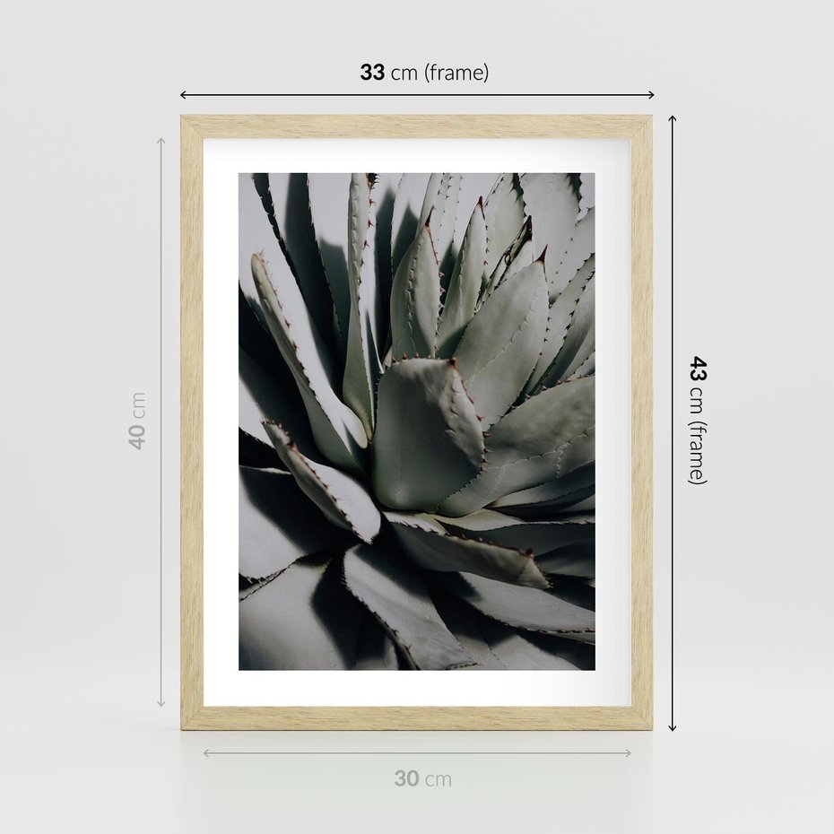 Plakat w ramie 30x40 - Egzotyczny Raj - sukulenty, kaktusy - rama drewno