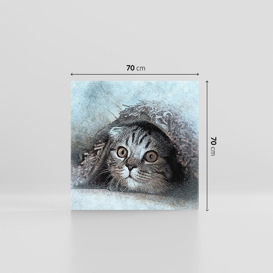 Obraz na płótnie 70x70 - Kot w abstrakcyjnym otoczeniu - kot, sztuka