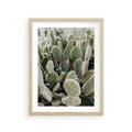 Plakat w ramie 30x40 - Kaktusowa Harmonia - kaktusy, fotografia - rama drewno
