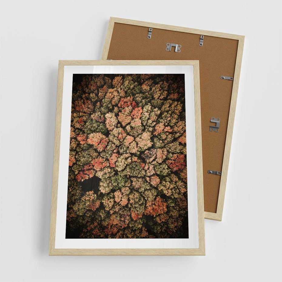 Plakat w ramie 50x70 - Jesień z Lotu Ptaka: Malowniczy Las - las jesienią z lotu ptaka - rama drewno