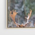 Obraz w ramie 70x50 - Monarcha Zimowej Dziczy - jeleń, zima - rama drewno