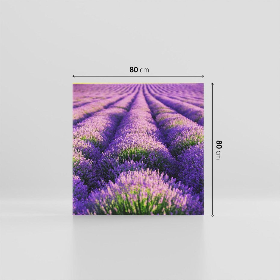 Obraz na płótnie 80x80 - Malownicze Pole Lawendy - lawenda, pole