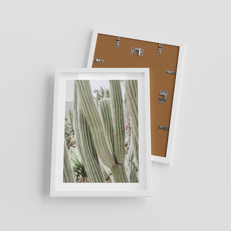 Plakat w ramie 30x40 - Duże Kaktusy w Pejzażu - kaktus, duże kaktusy na pustyni - rama biała
