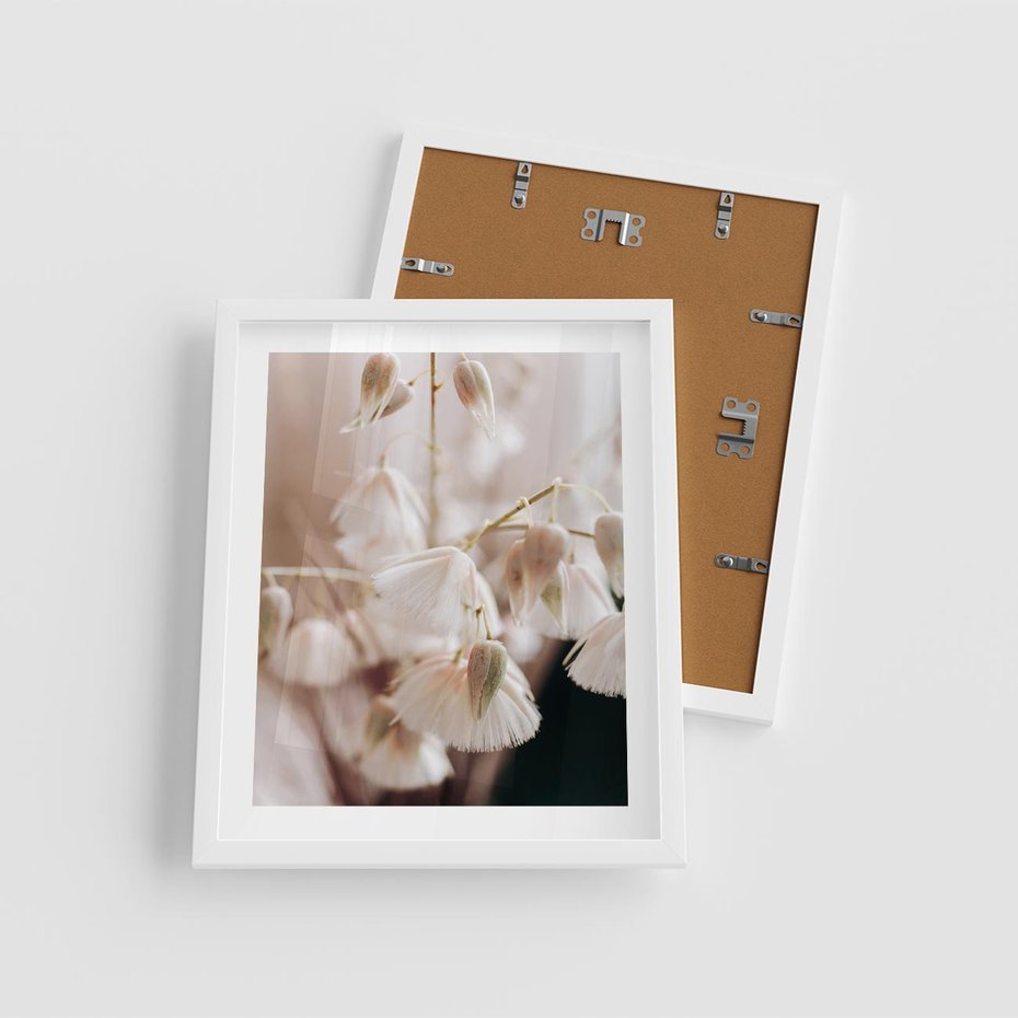 Plakat w ramie 40x50 - Suszona Delikatność - suszone kwiaty, rośliny - rama biała