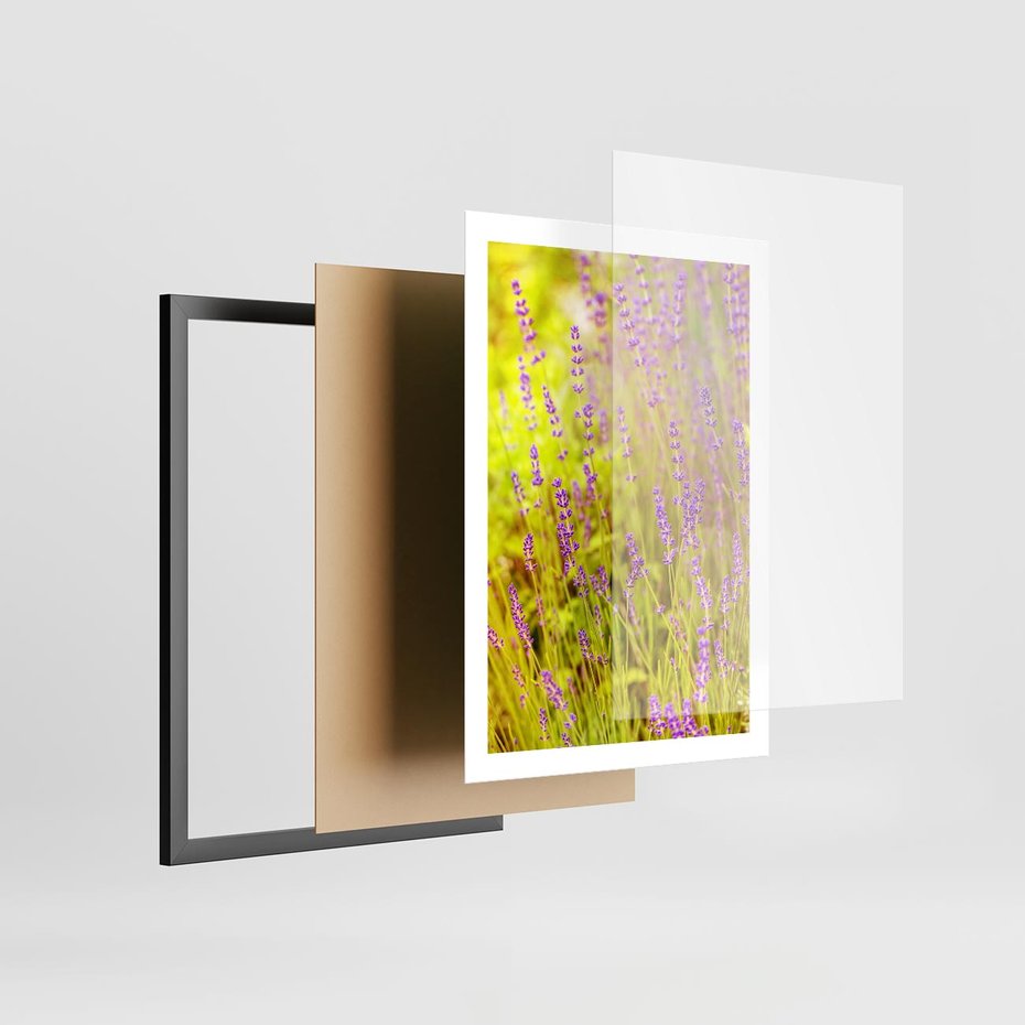 Plakat w ramie 50x70 - Delikatność natury - lawenda, kwiaty - rama czarna