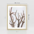 Plakat w ramie 40x50 - Pustynna Harmonia Gałęzi - pustynna roślina, suche gałęzie - rama drewno