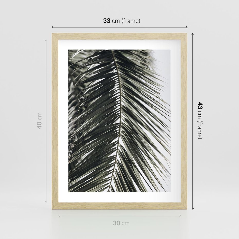 Plakat w ramie 30x40 - Liść Palmy: Egzotyczny Detal Natury - palma, liść palmy - rama drewno