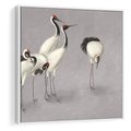 Obraz w ramie 50x50 - Spojrzenie wstecz w pędzlu - szkic rysunek, japońskie żurawie - rama biała