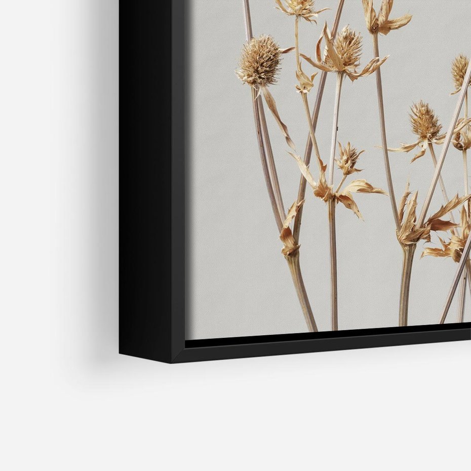 Obraz w ramie 50x50 - Delikatne gipsówki - gipsówka, suche - rama czarna