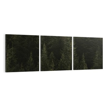 Obraz na płótnie 150x50 - Ciemny las iglasty - las, iglasty
