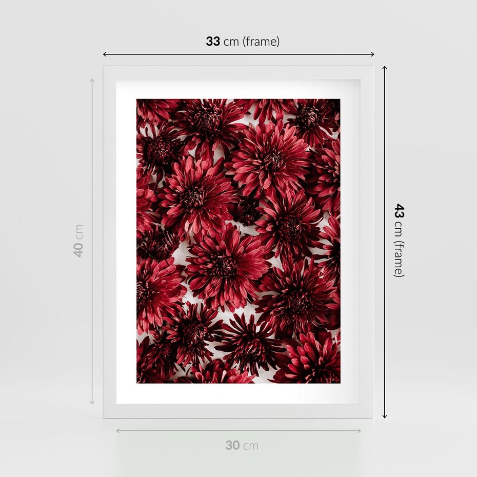 Plakat w ramie 30x40 - Energia Kwiatów - czerwone kwiaty, kompozycja - rama biała