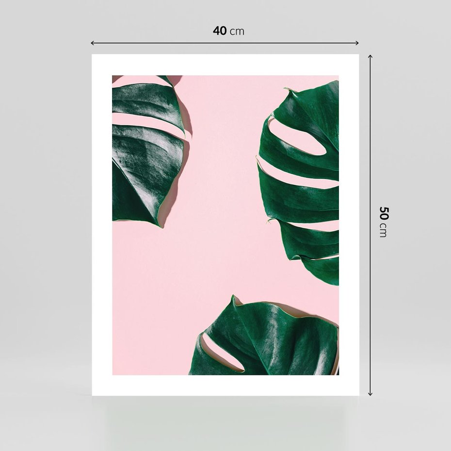 Plakat bez ramy 40x50 - Siła Natury - liście, monstera