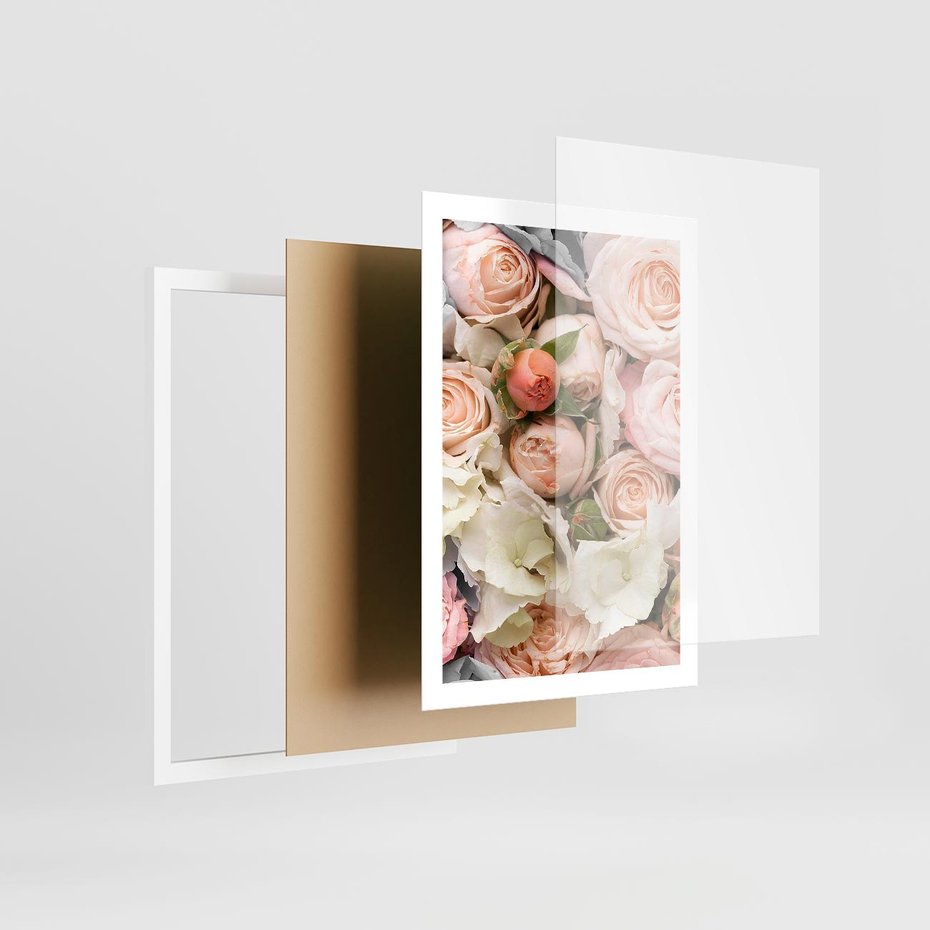 Plakat w ramie 50x70 - Kwiatowy Rarytas: Róże w Herbacianym Zbliżeniu - kwiaty, herbaciane - rama biała