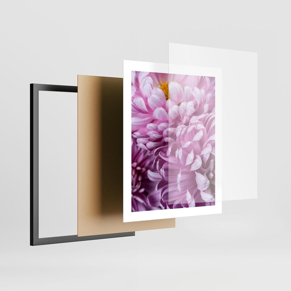 Plakat w ramie 40x50 - Fioletowy zawrót głowy - kwiat, różowy kwiat - rama czarna