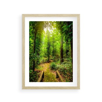 Plakat w ramie 50x70 - Współistnienie z naturą - drzewa, las - rama drewno
