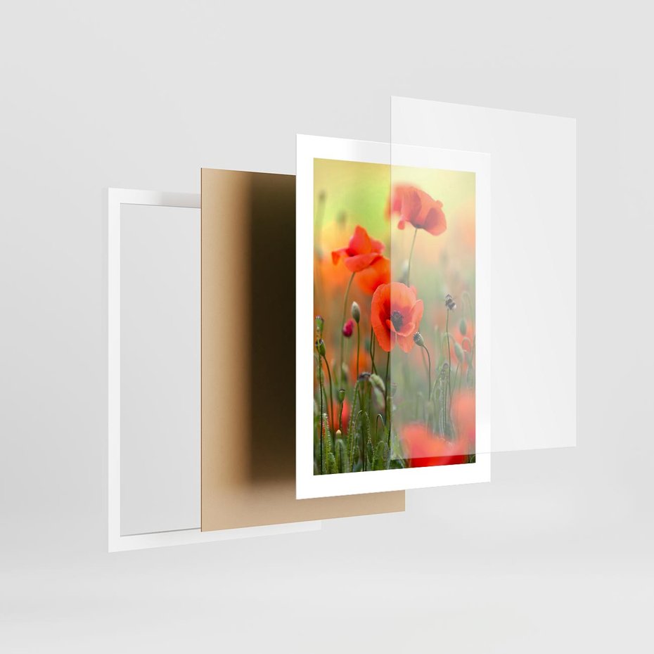 Plakat w ramie 30x40 - Makowa Pasja - maki, kwiaty - rama biała