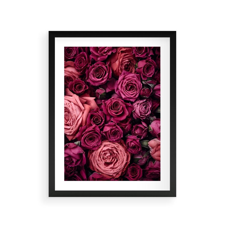 Plakat w ramie 30x40 - Róże - piękno kwiatów - róże, kwiaty - rama czarna