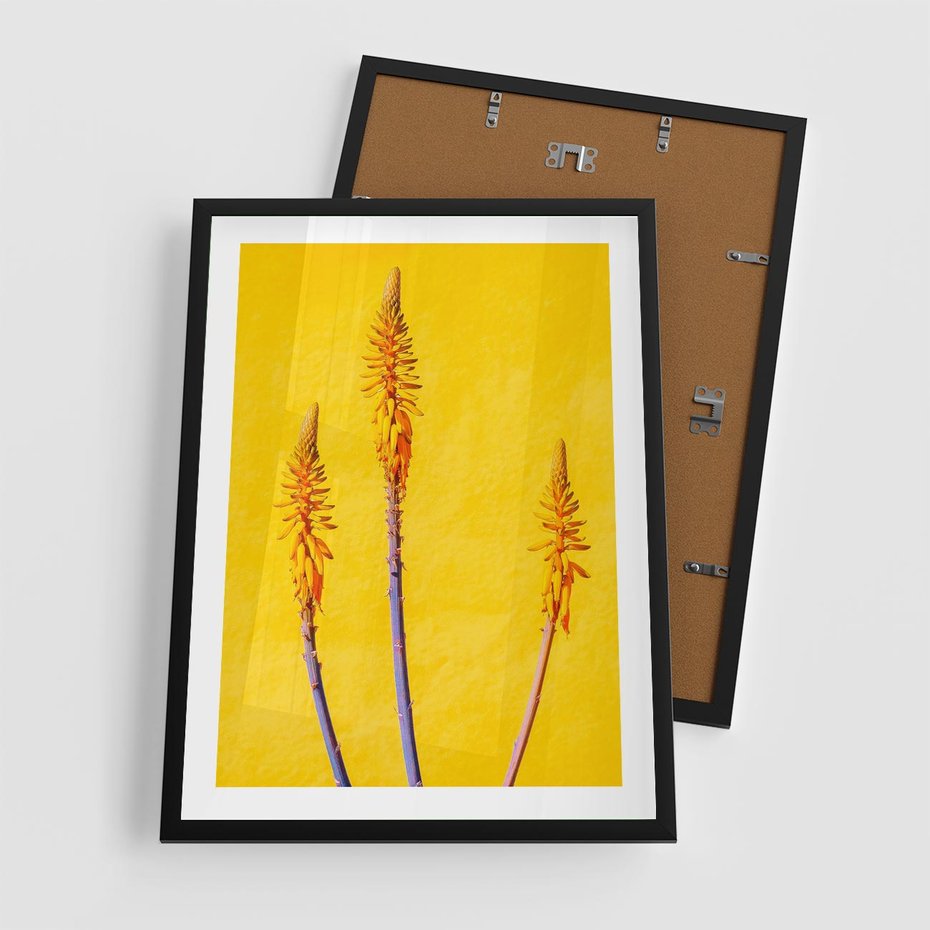 Plakat w ramie 50x70 - Radość Natury - kolor, kwiaty - rama czarna