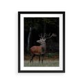 Plakat w ramie 30x40 - Spotkanie z naturą - jeleń, las - rama czarna
