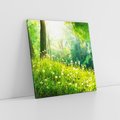 Obraz na płótnie 60x60 - Urok natury - magiczny las na płótnie - las, trawa