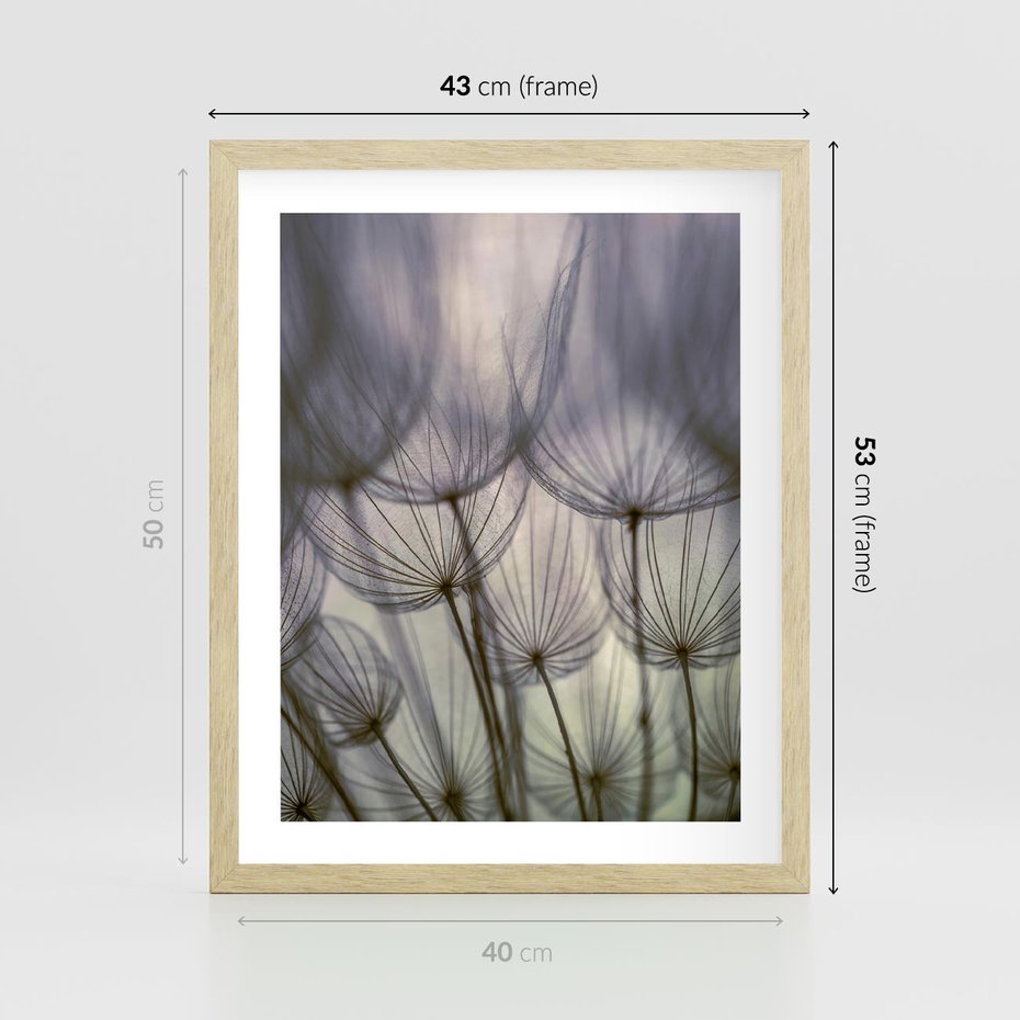 Plakat w ramie 40x50 - Makro dmuchawiec - piękno drobnych detali - dmuchawce, makro - rama drewno