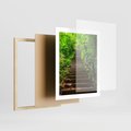 Plakat w ramie 40x50 - Lasowa ścieżka pełna tajemnic - ścieżka, schody - rama drewno