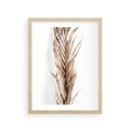 Plakat w ramie 30x40 - Minimalizm Palmowy: Sucha Uroda - sucha palma, minimalizm - rama drewno