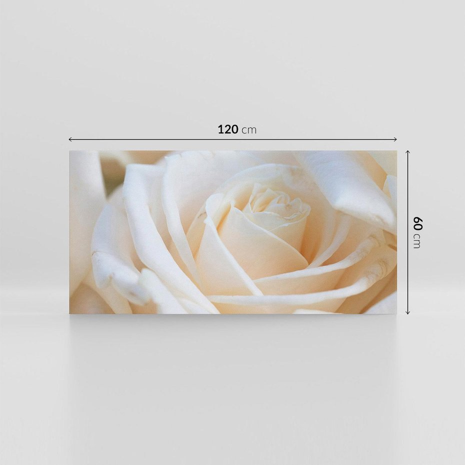 Obraz na płótnie 120x60 - Białe róże piękności - białe, róże
