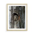Plakat w ramie 50x70 - Tajemniczy W świecie Nocy - sowa, dziupla - rama drewno