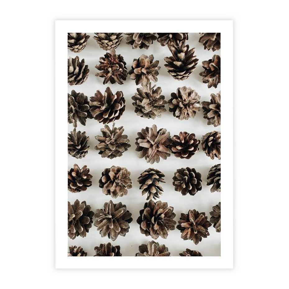 Plakat bez ramy 50x70 - Jesienna Tekstura - kompozycja z suchych szyszek, jesienne szyszki