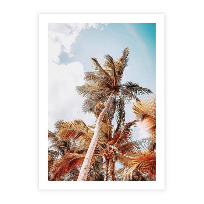 Plakat bez ramy 21x30 - Plażowa Idylla z Palmami - palmy, rajska plaża