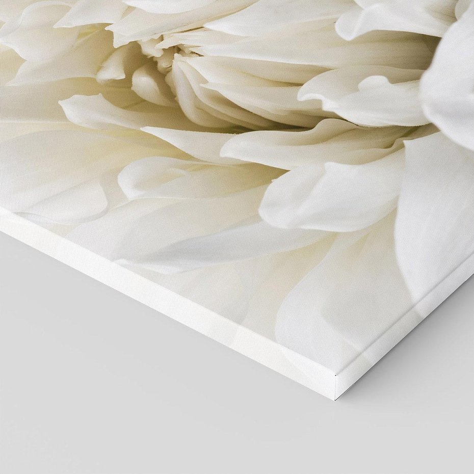 Obraz na płótnie 60x60 - Białe Kwiaty Delikatności - białe, kwiaty