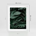 Plakat w ramie 40x50 - Zielone Liście Monstery w Dżungli - zielone liście monstery, dżungla - rama biała