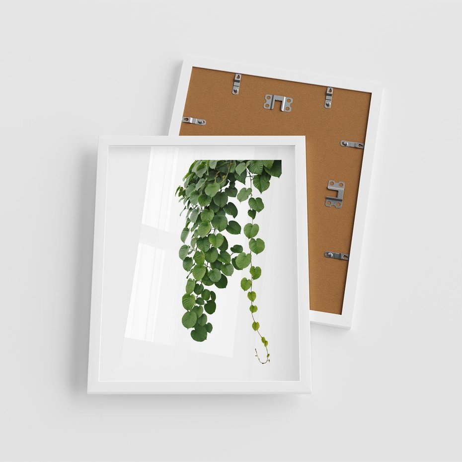 Plakat w ramie 40x50 - Świeżość Natury - liście, zielone - rama biała