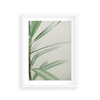 Plakat w ramie 30x40 - Minimalistyczna Tropikalna Harmonia - tropikalna roślina, zielone liście - rama biała