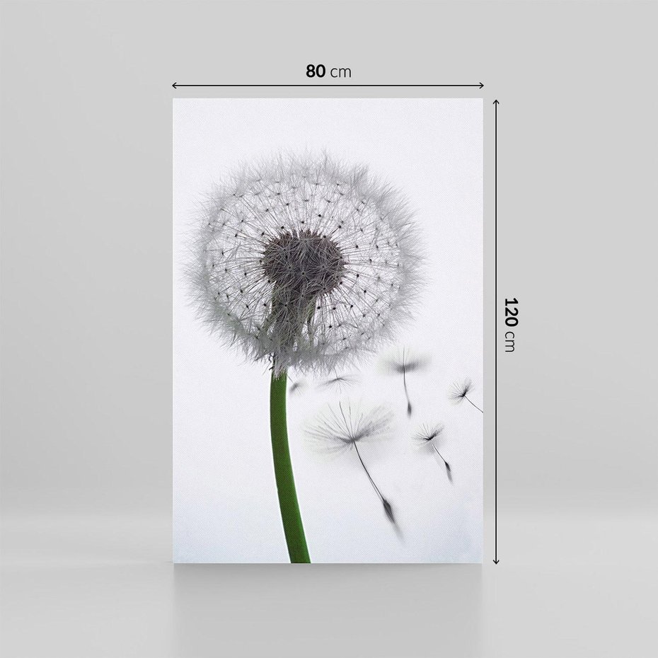 Obraz na płótnie 80x120 - Lekkość Przemijania - dmuchawiec, makro