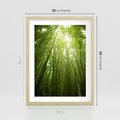 Plakat w ramie 30x40 - Siła Natury - drzewa, las - rama drewno